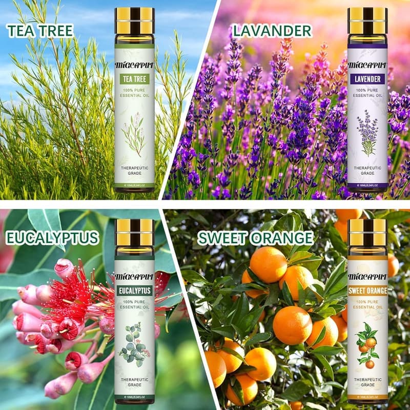 Aromatherapie Diffuser-Set mit 8 ätherischen Ölen, naturrein 10 ml