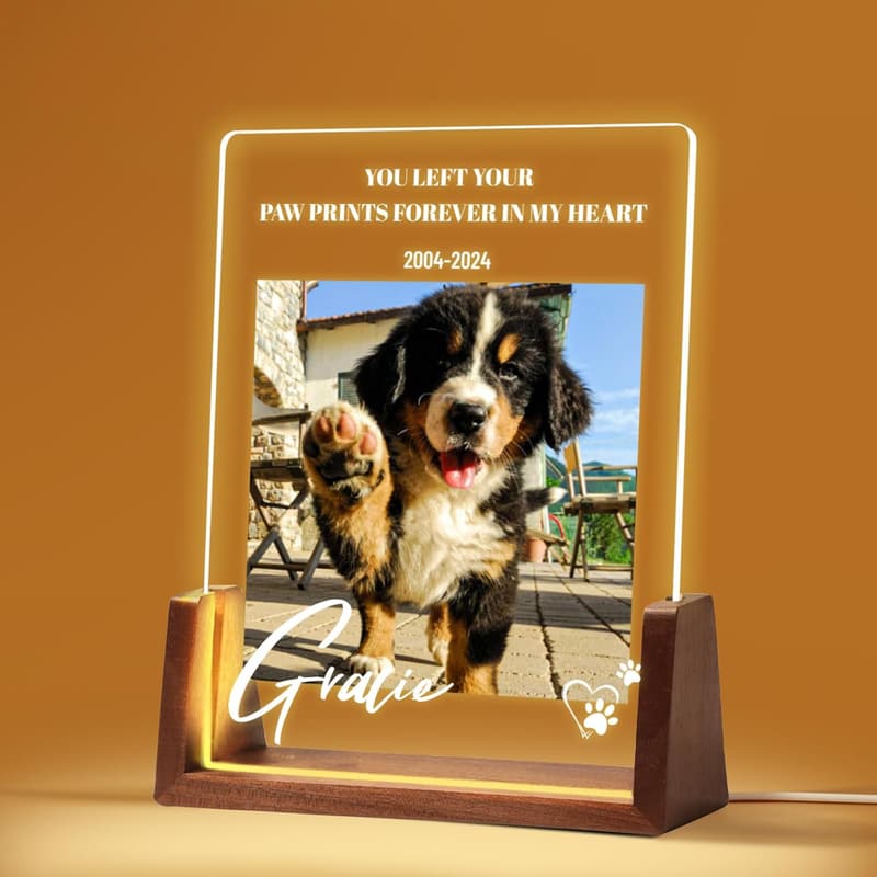 Personalisierte LED-Acryl-Gedenktafel für Haustiere mit Foto