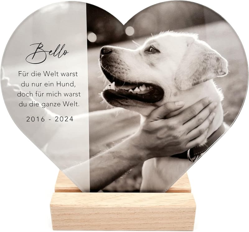 Personalisierte Gedenktafel aus Acrylglas für verstorbenen Hund 20x22 cm