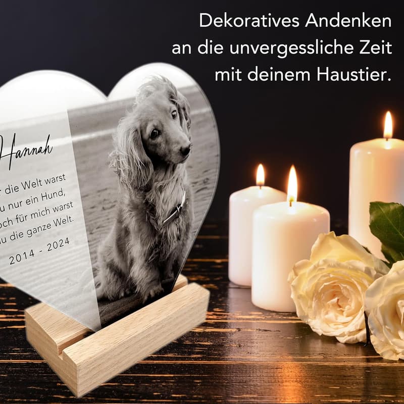 Personalisierte Gedenktafel aus Acrylglas für verstorbenen Hund 20x22 cm