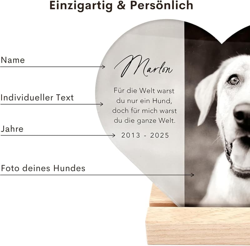 Personalisierte Gedenktafel aus Acrylglas für verstorbenen Hund 20x22 cm