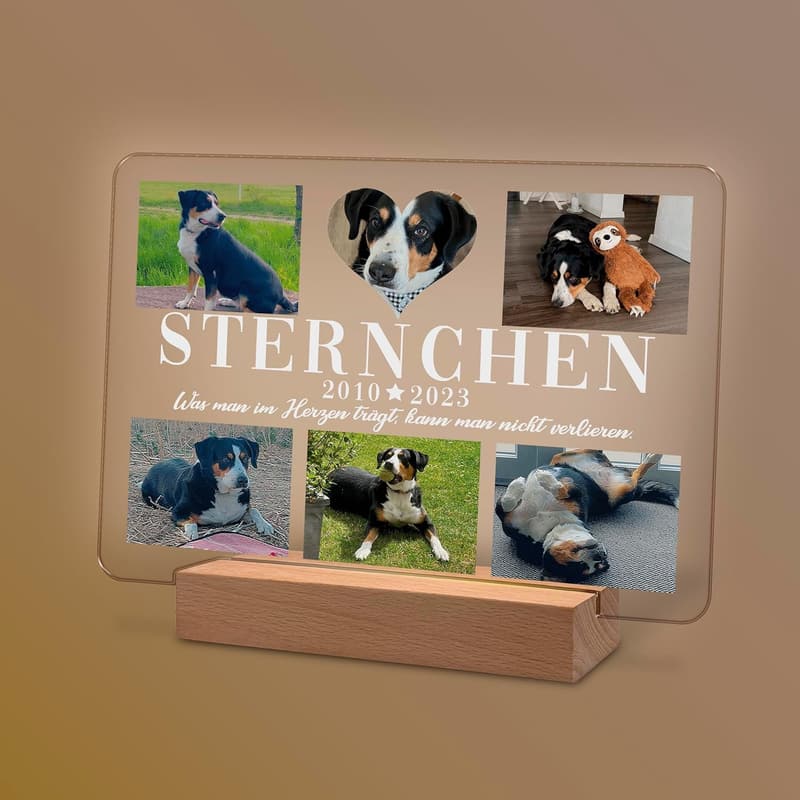Personalisierte Gedenktafel aus Acryl für Hund oder Katze