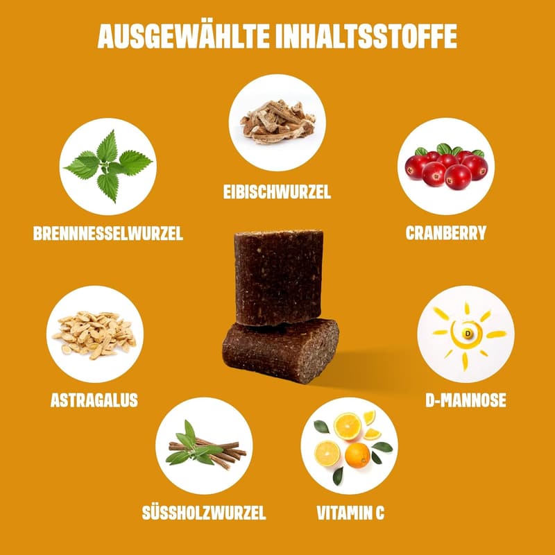 Funktionelle Snacks für Hunde bei Blasenentzündungen – 60 Snacks mit Ente (270g)