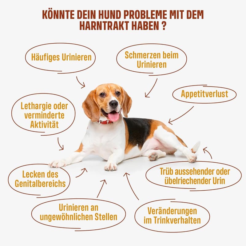 Funktionelle Snacks für Hunde bei Blasenentzündungen – 60 Snacks mit Ente (270g)