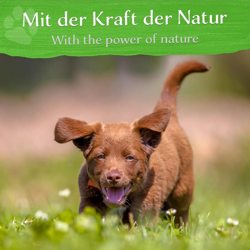 BELISY Bachblütenmischung für Hunde & Katzen gegen Zecken - alkoholfrei - 10 g