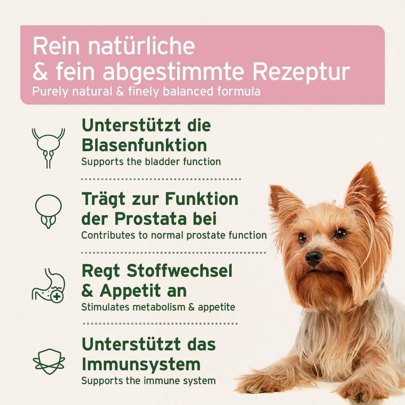 AniForte Blasen-Formel für Hunde 100 g – Unterstützung bei Blasenschwäche und Inkontinenz