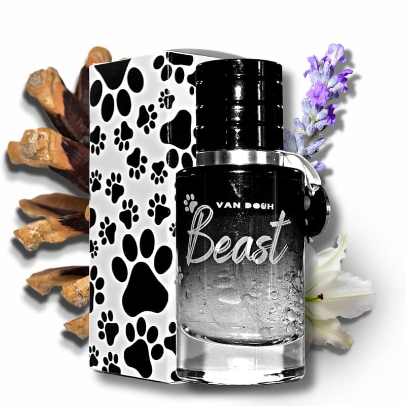 Eau de Parfum für Hunde & Katzen - Frischer Duft mit Lavendel – 30ml
