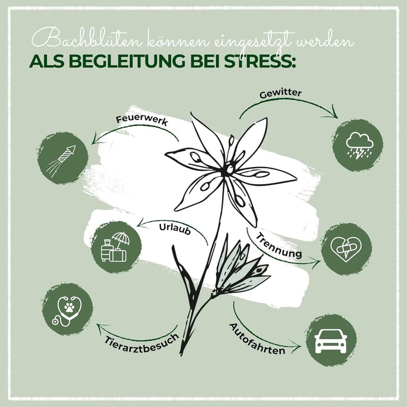 Beruhigende Bachblüten für Hunde & Katzen gegen Stress 10 g