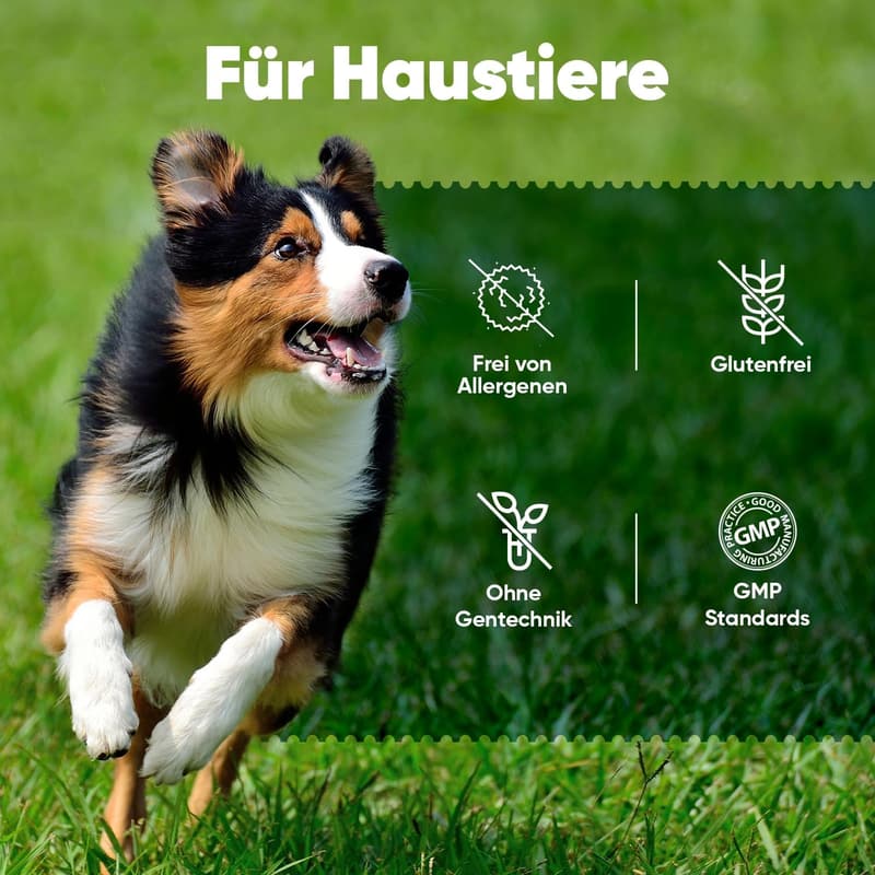 Harnwegshilfe für Hunde - 120 Kapseln mit Cranberry & D-Mannose