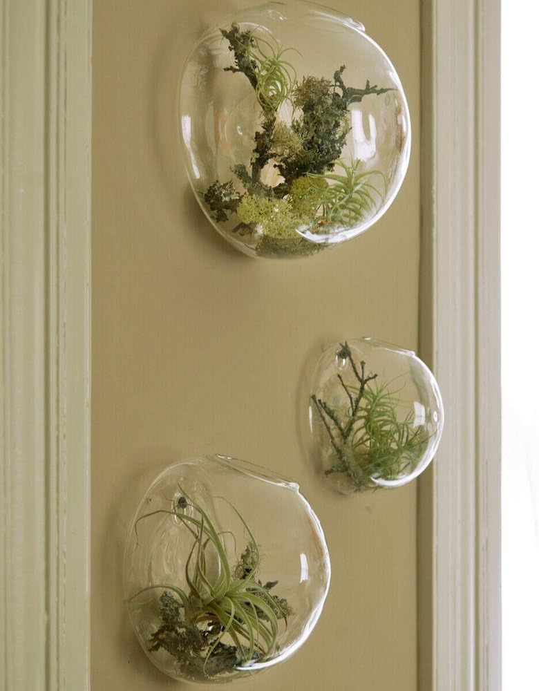 EssenceLiving Set von 3 Wandblasen für Indoor Pflanzen als Wanddekor