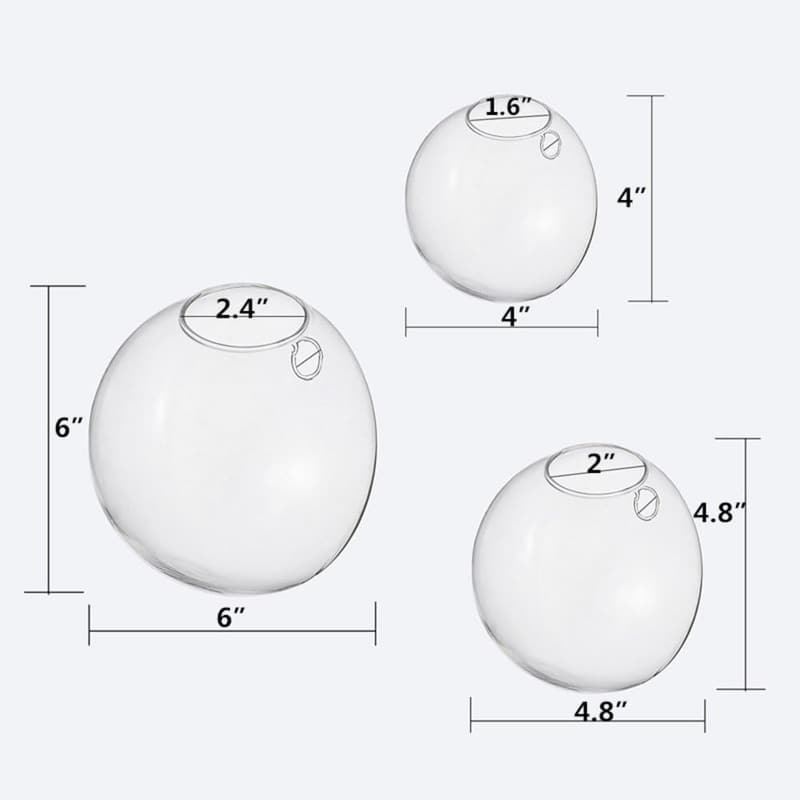 EssenceLiving Set von 3 Wandblasen für Indoor Pflanzen als Wanddekor