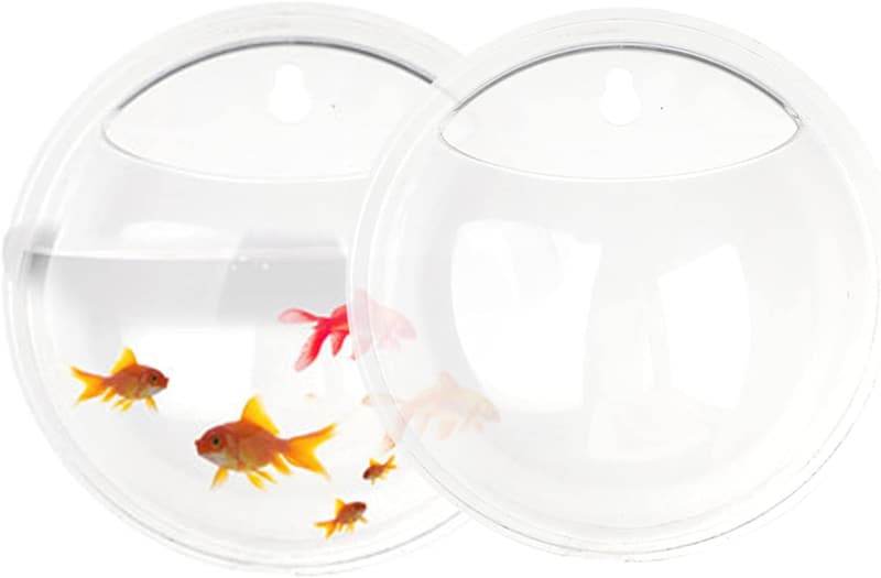 Wandmontierter Blumentopf aus transparentem Acryl, 2 Stück für Sukkulenten