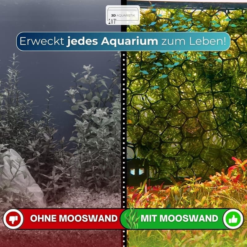Mooswand Aquarium Rückwand – Slim Design für Pflanzen mit Saugnapf