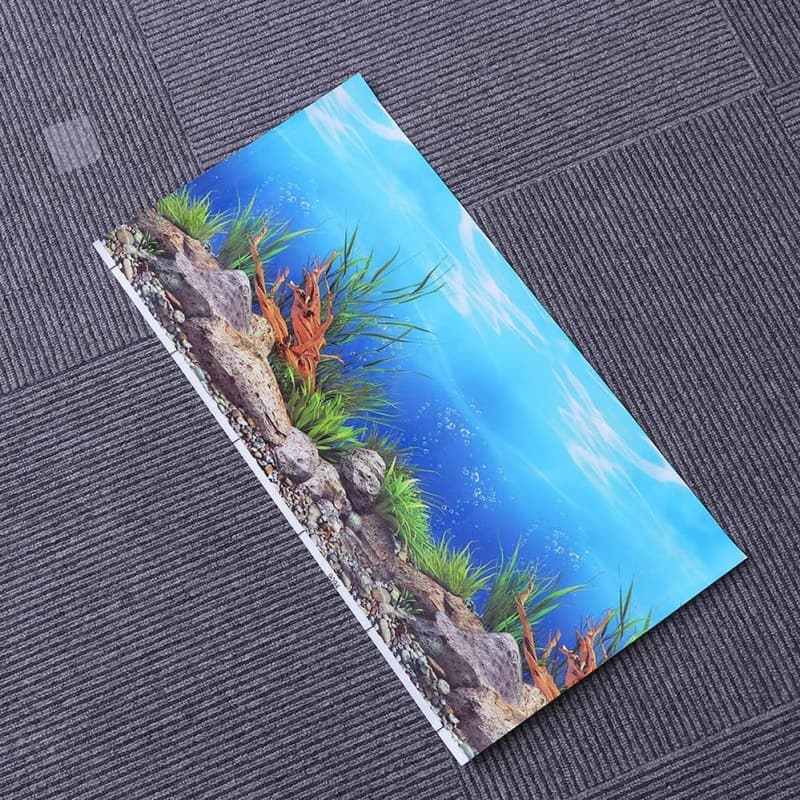 Lebensechtes 3D Unterwasser-Wandbild für Aquarien
