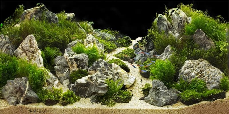 3D Felsen Aquarium Hintergrund 120x61cm für Terrarium-Dekoration
