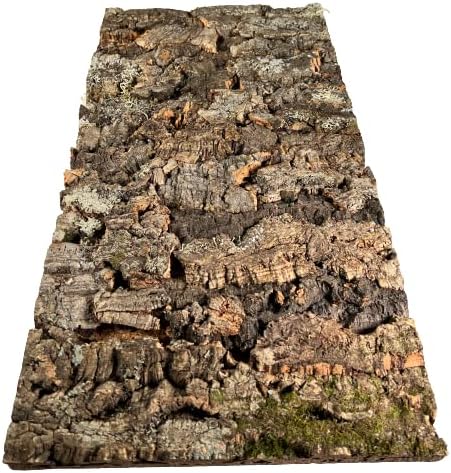 EKB Zierkork Rückwand für Terrarien (600 x 300 mm)