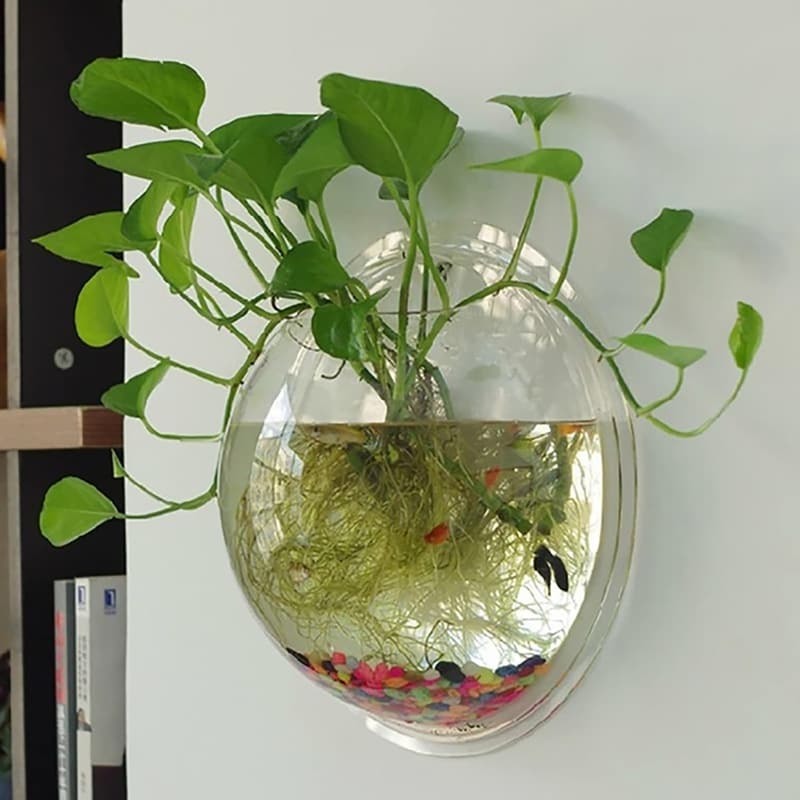 Transparente Acrylvase zur Wandmontage, 15 cm, für Pflanzen-Deko