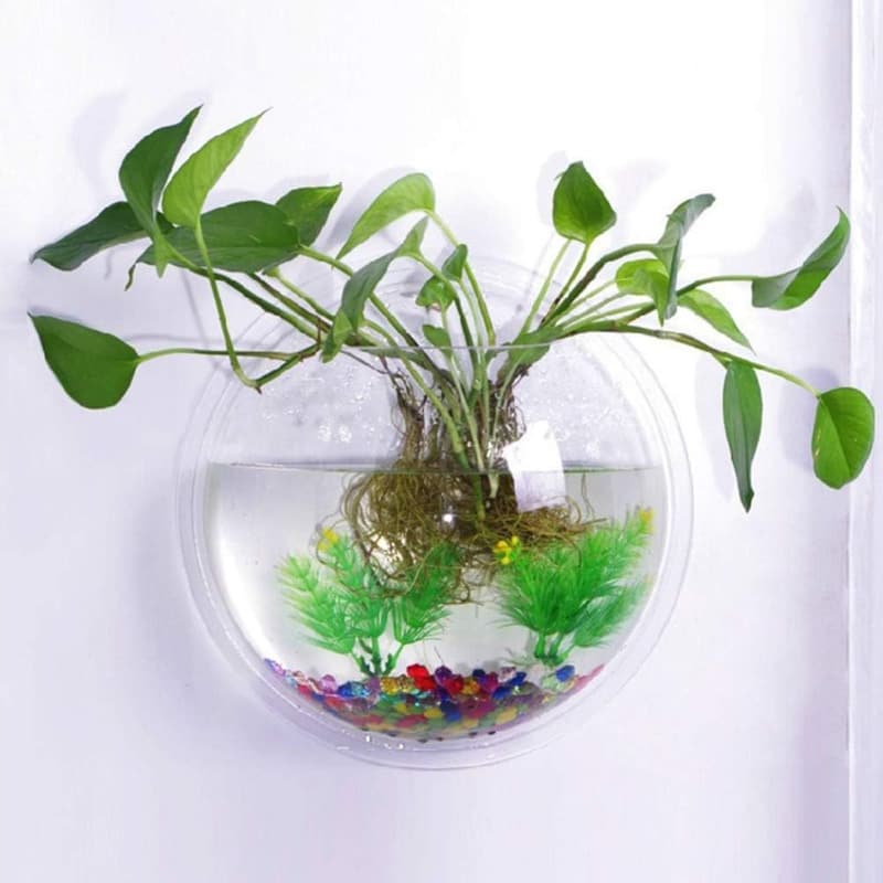Wandmontierte Acryl-Fischschale für Wasserpflanzen (17,8 cm)