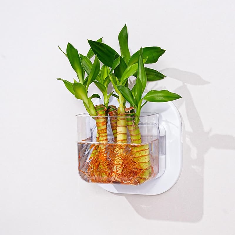 Wandmontierter Blumentopf für Fisch und Pflanzen im Wohnbereich