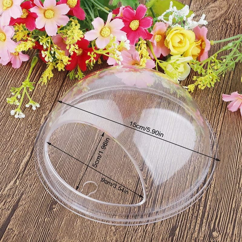 2er Set 15 cm Wand-Aquarium, transparent, rund, für Hydrokultur