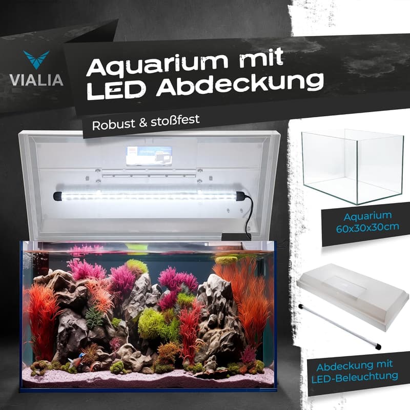 Rechteckiges Aquarium 60x30x30 cm mit LED-Abdeckung für Fische und Pflanzen