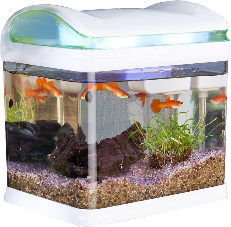 Mini Aquarium mit Filter und LED-Beleuchtung, 3,3 Liter