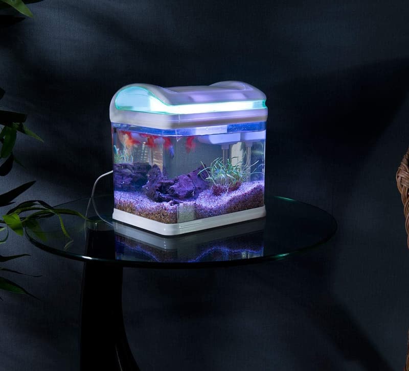 Mini Aquarium mit Filter und LED-Beleuchtung, 3,3 Liter