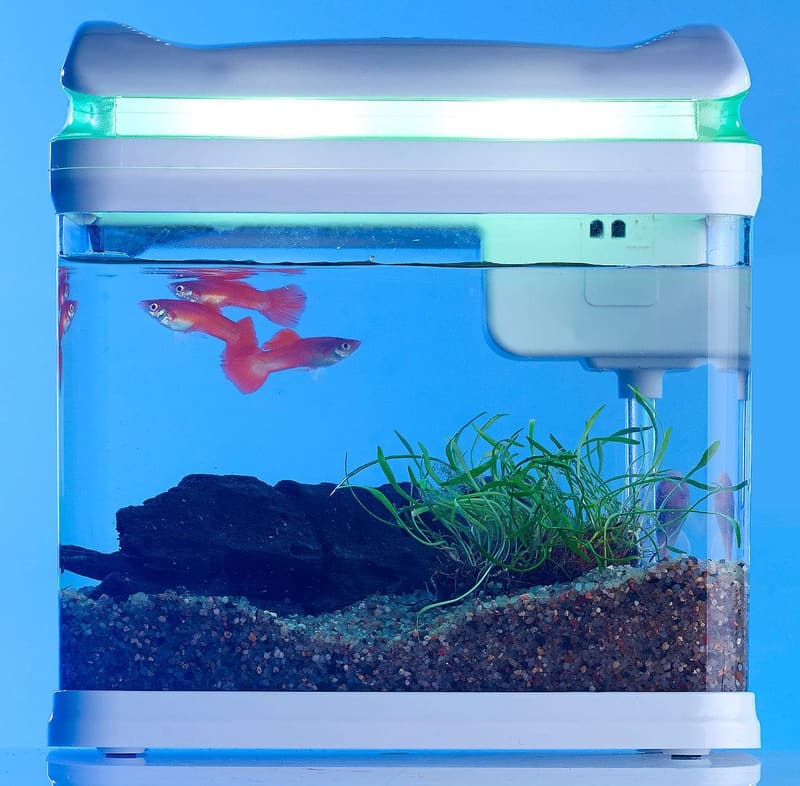 Mini Aquarium mit Filter und LED-Beleuchtung, 3,3 Liter