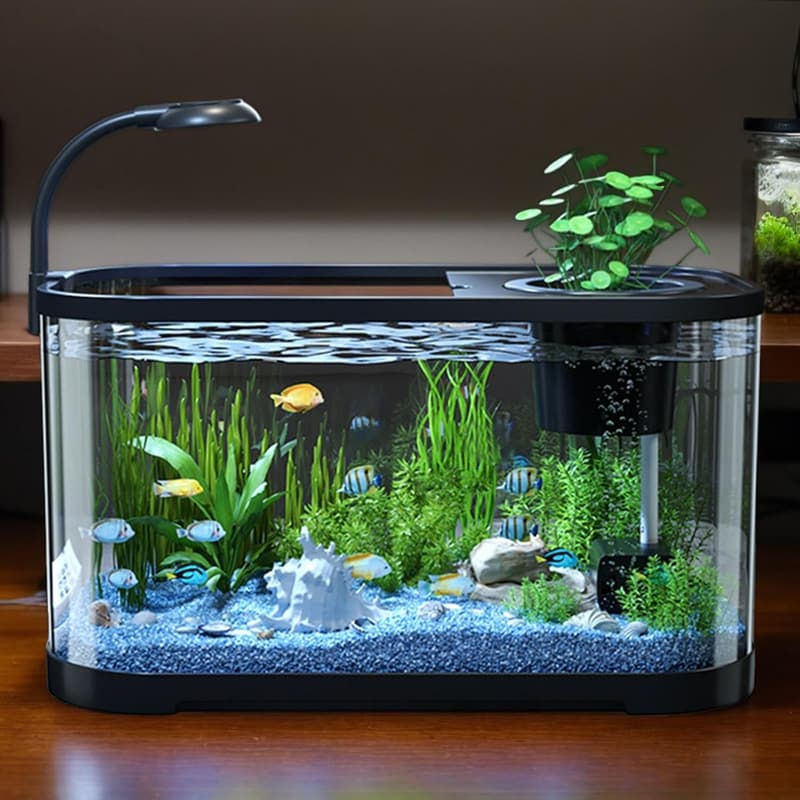 Betta Aquarium Starter-Set mit leiser Dekorationsschale und Sichtfenster