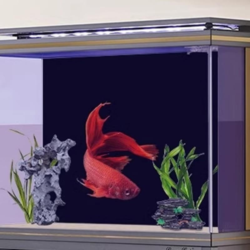 Schwarzer, statisch haftender Aquariumhintergrund aus hochwertiger Folie