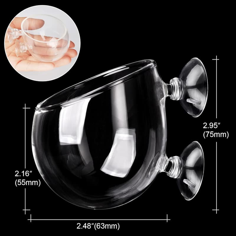 Aquarium Pflanzenhalter aus klarem Glas – Dekorationstopf mit 2 Saugnäpfen
