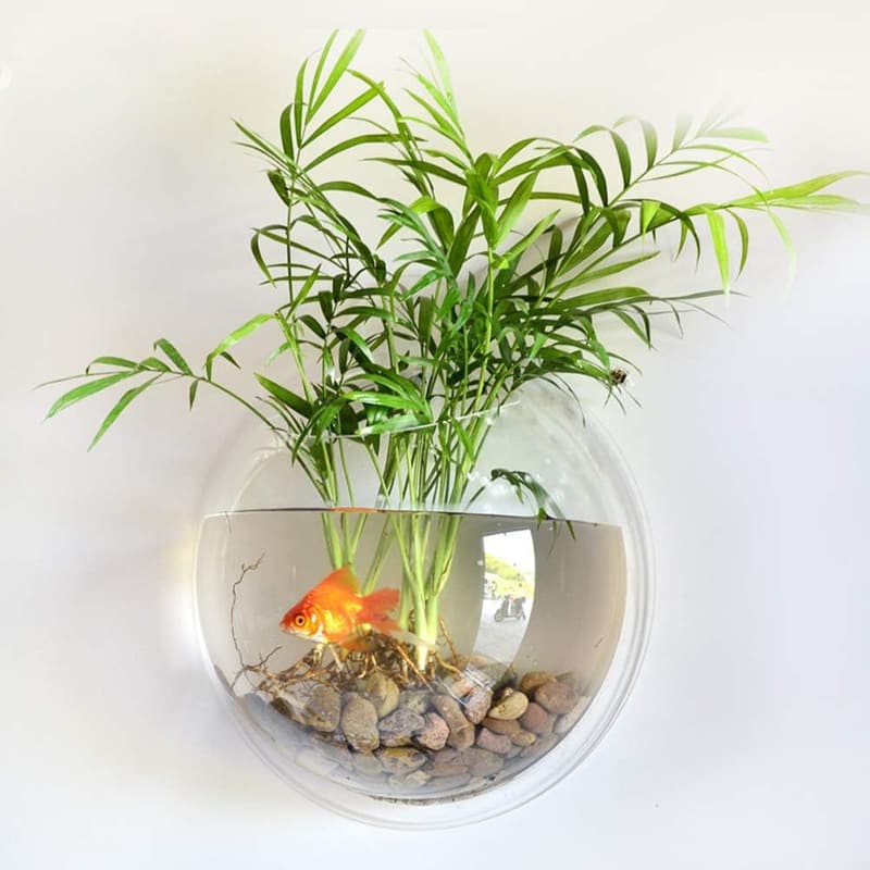 Wandmontierte Acrylvase für Pflanzen - Dekorativer Blumentopf