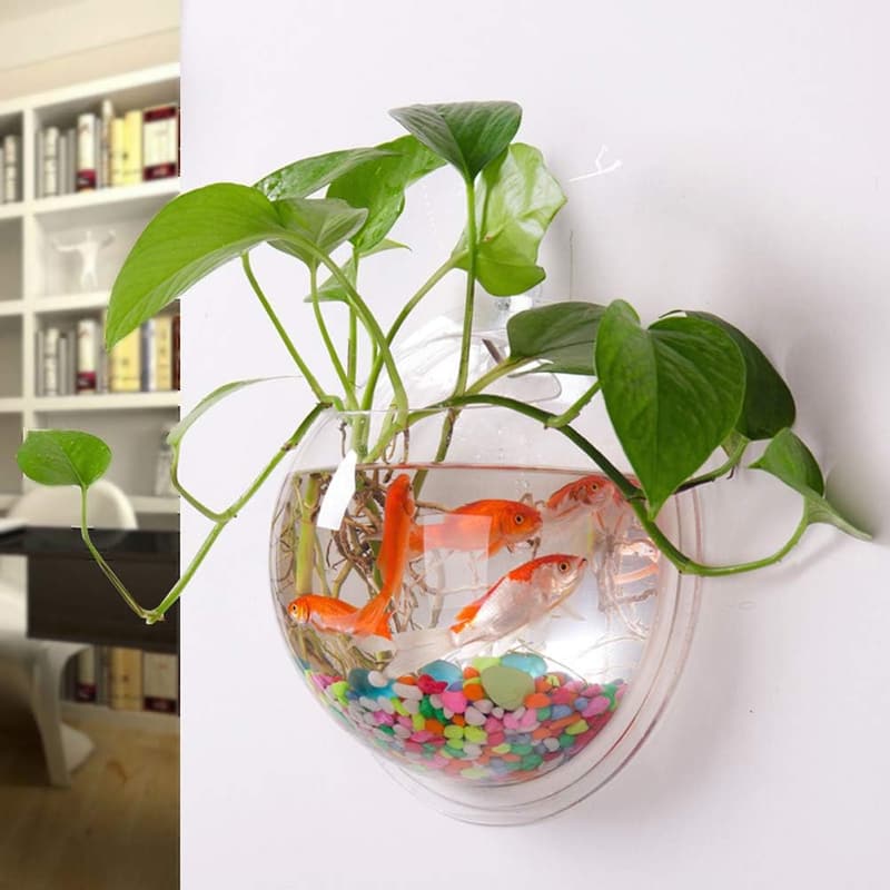 Dekorativer Wandbehänge-Aquarium für Hydrokultur-Luftpflanzen