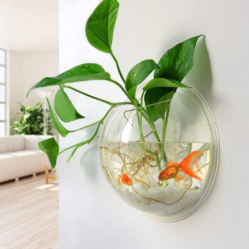 Rundes Wand-Aquarium aus klarem Acryl mit Blumentopf