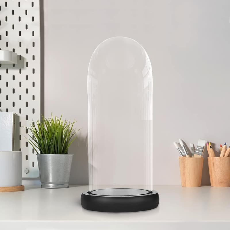 Dekorative Glasglocke mit schwarzem Holzsockel – 26,5 cm hoch