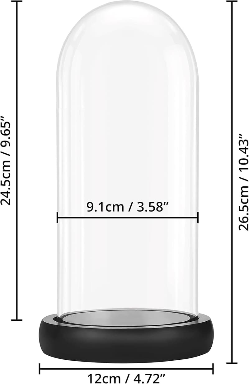 Dekorative Glasglocke mit schwarzem Holzsockel – 26,5 cm hoch