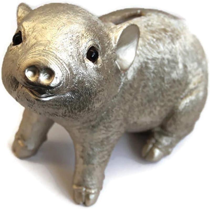 Perlmutt Silbernes XXL Sparschwein - Elegantes Geschenk für Kinder und Erwachsene