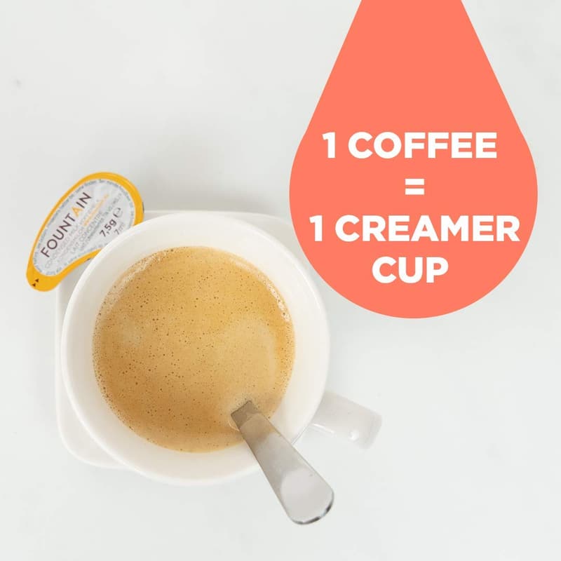 FOUNTAIN Portionsmilch für Kaffee, 240x7,5g, einzeln verpackt