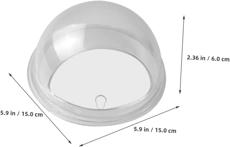Kreative Wanddekor-Vase aus klarem Acryl für Pflanzenhalter