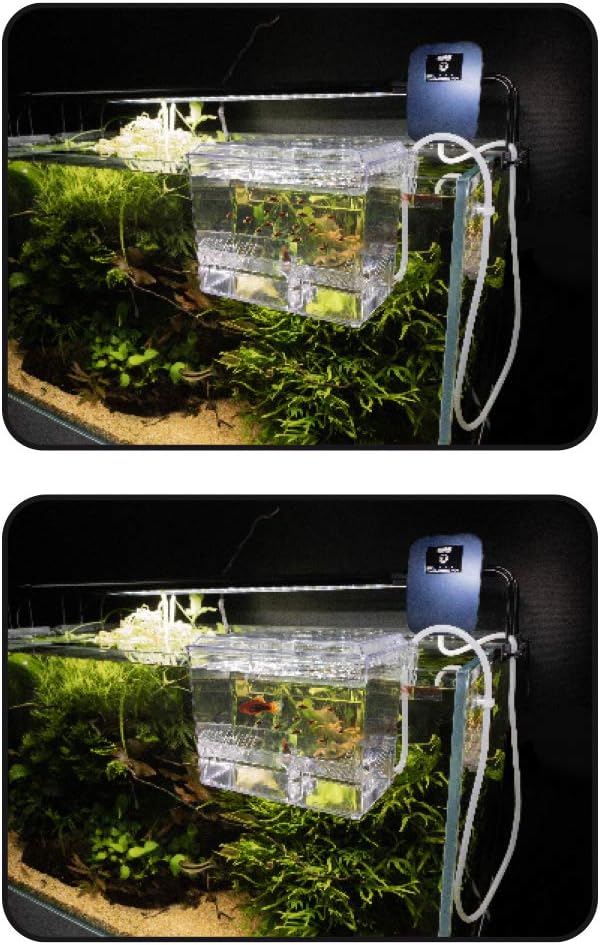 Abferkelraum für Aquarien - Externe Isolationsschale 1,5 l