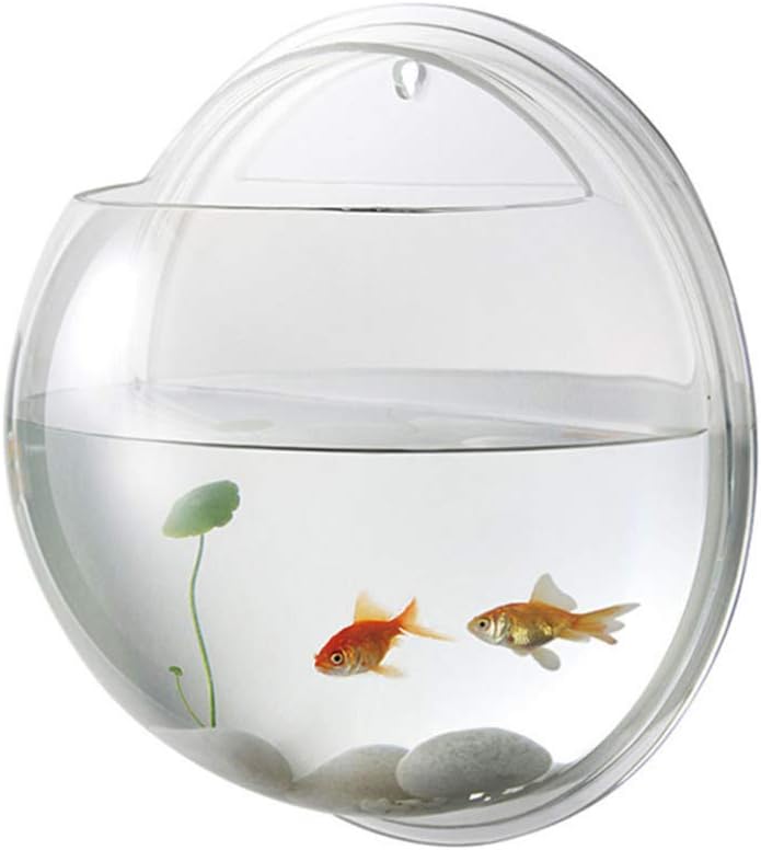 Wandmontierte Acryl-Aquariumvase für Betta-Fische und Pflanzen