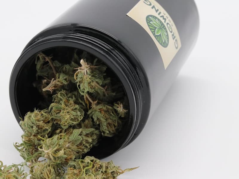 Humidor für Cannabis aus Violettglas mit Hygrometer, 500ml