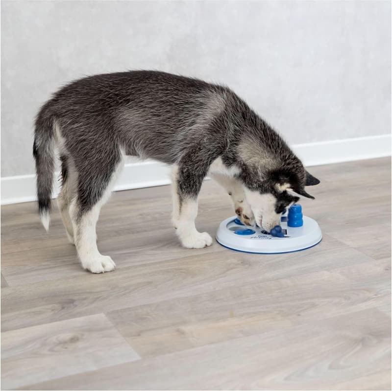 Trixie Intelligenzspielzeug Flip Board für Hunde – 23 cm