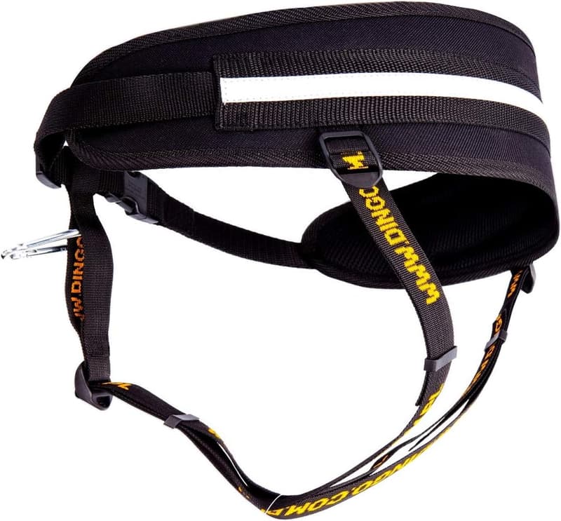 Multifunktionsgürtel für Hunde – Canicross und Trekking schwarz 12780