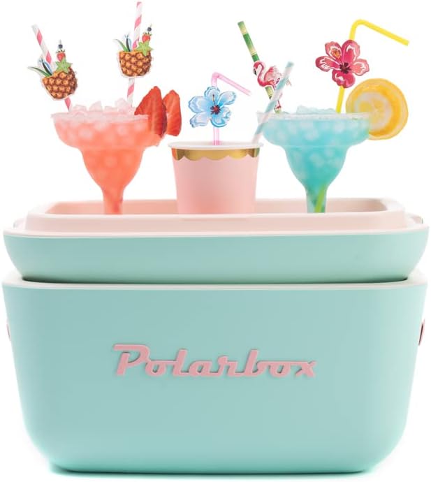 Kühlbox im Retro Vintage Design mit thermischer Isolierung