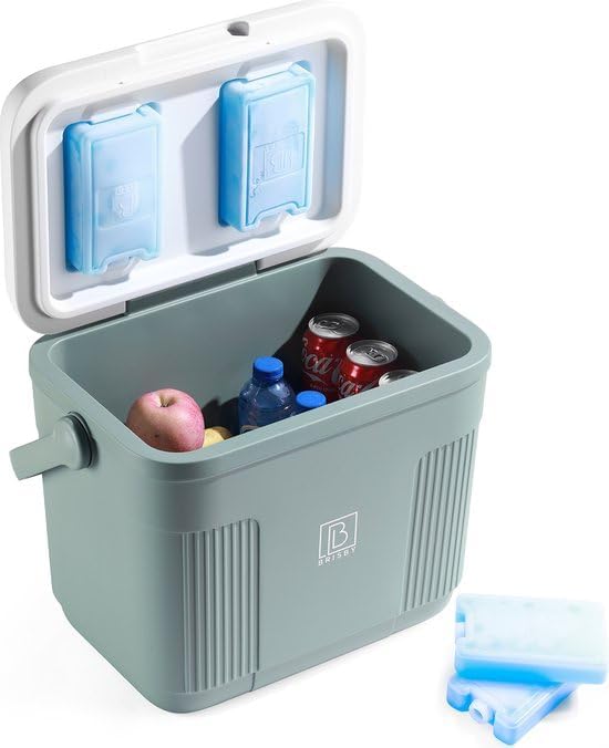 Kompakte Kühlbox 22L für Camping - Passiv, BPA-frei, inklusive 4 Kühlakkus