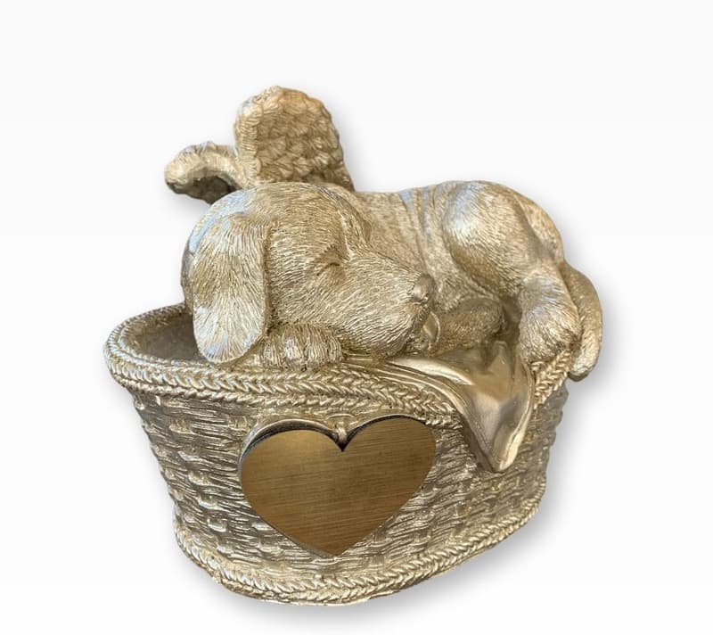 Personalisierte Hundeurne für Tiere bis 16 kg, 1,2 Liter (Champagner)
