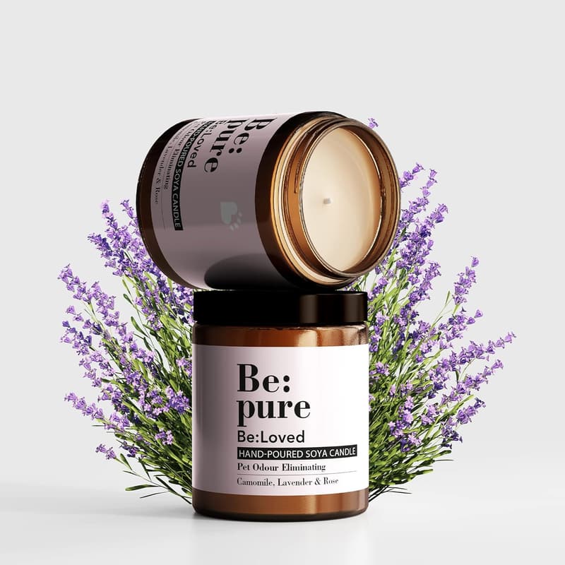 Lavendel Duftkerze aus Soja und Bienenwachs für Haustiergerüche