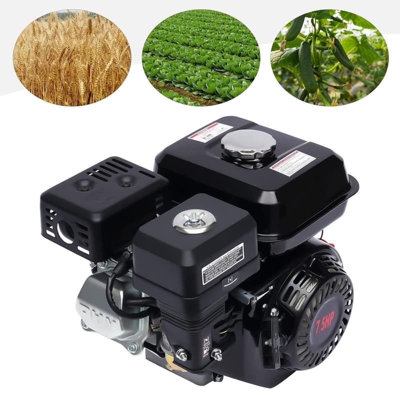 7,5 HP Benzin Standmotor mit 4 Takt OHV und Alarm