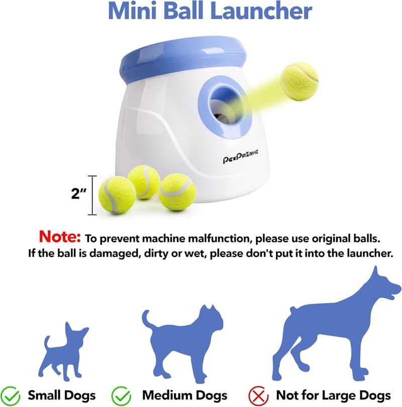Automatischer Ballwerfer für kleine Hunde - inklusive 3 Tennisbälle
